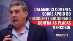Calamucci comenta sobre apoio do Presidente Bolsonaro contra as placas Mercosul